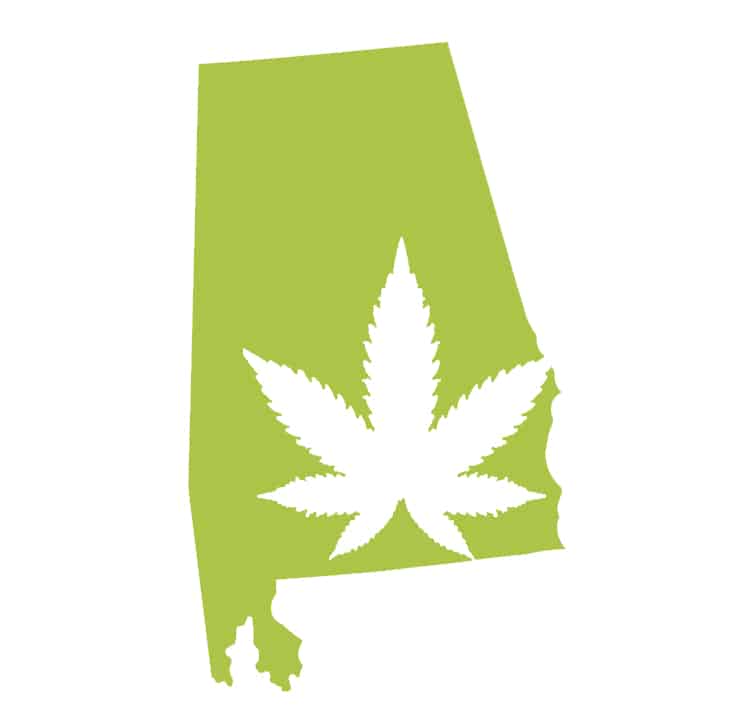 Best-Bud-Seeds-Alabama-Cannabis-Seed-Guide-Buy-Online