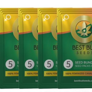 BBS Seed Mockup 5 Pack 7 | Best Bud Seeds