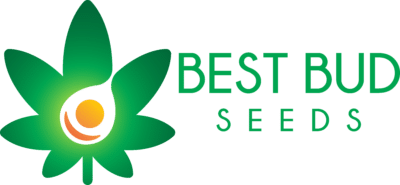 Best Bud Seeds | Buy Cannabis Seeds Online
