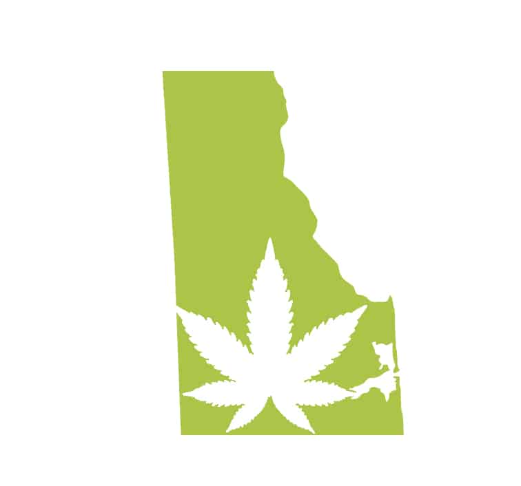Best-Bud-Seeds-Delaware-Cannabis-Seed-Guide-Buy-Online