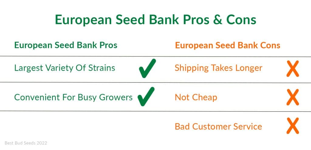 Where Can You Buy Cannabis Seeds? Best Bud Seeds US Cannabis Seed Bank Online