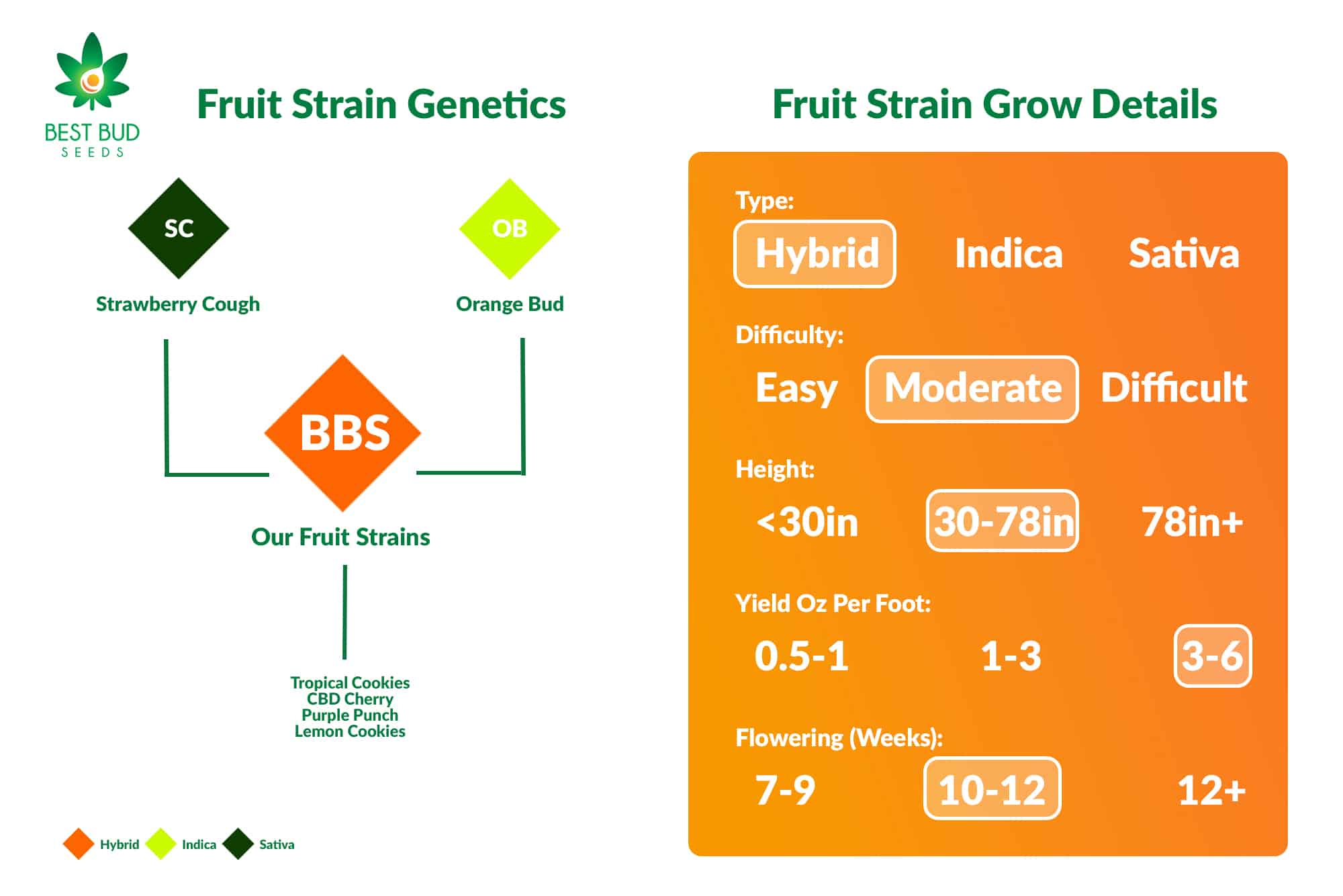 Best Bud Seeds Fruit Strain Genetics and Grow Details