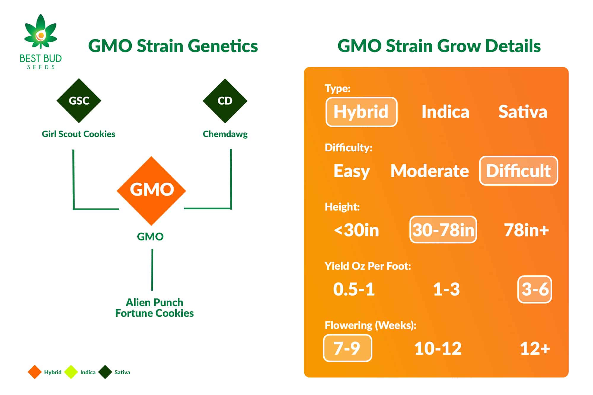 GMO Strain Genetics & Grow Details Best Bud Seeds Online Seed Bank