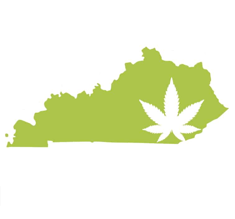 Best-Bud-Seeds-Kentucky-Cannabis-Seed-Guide-Buy-Online