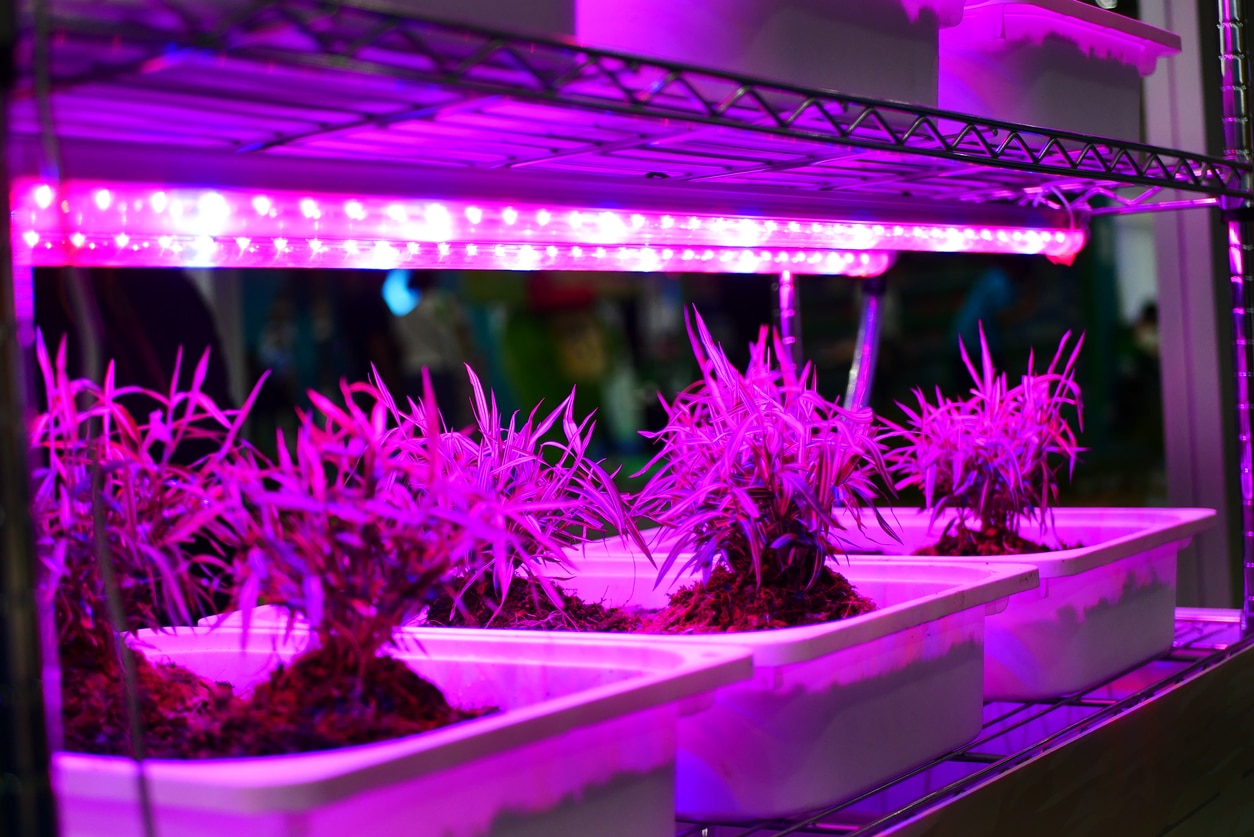 Featured image for “Selecting & Purchasing Cannabis Grow Equipment – Planning Your First Indoor Cannabis Grow Series”