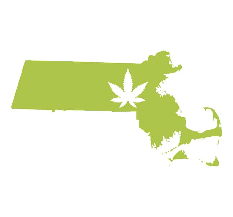 Best-Bud-Seeds-Massachusetts-Cannabis-Seed-Guide-Buy-Online