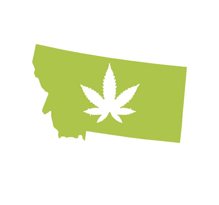 Best-Bud-Seeds-Montana-Cannabis-Seed-Guide-Buy-Online