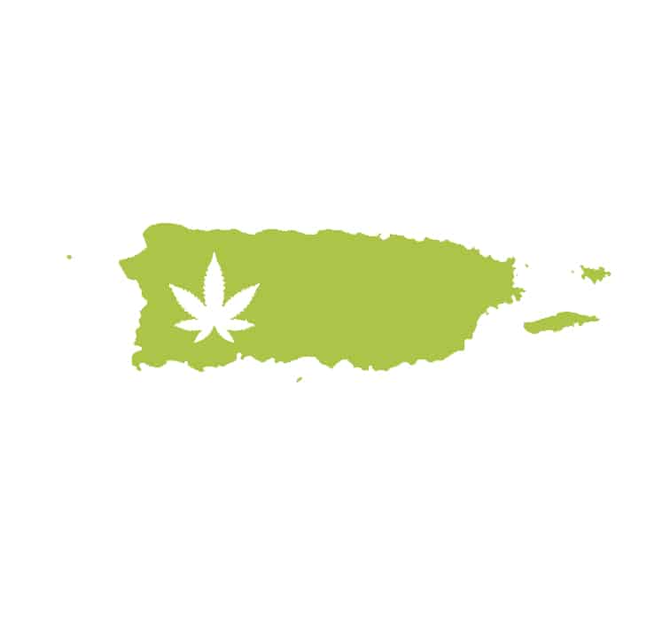 Best-Bud-Seeds-Puerto-Rico-Cannabis-Seed-Guide-Buy-Online