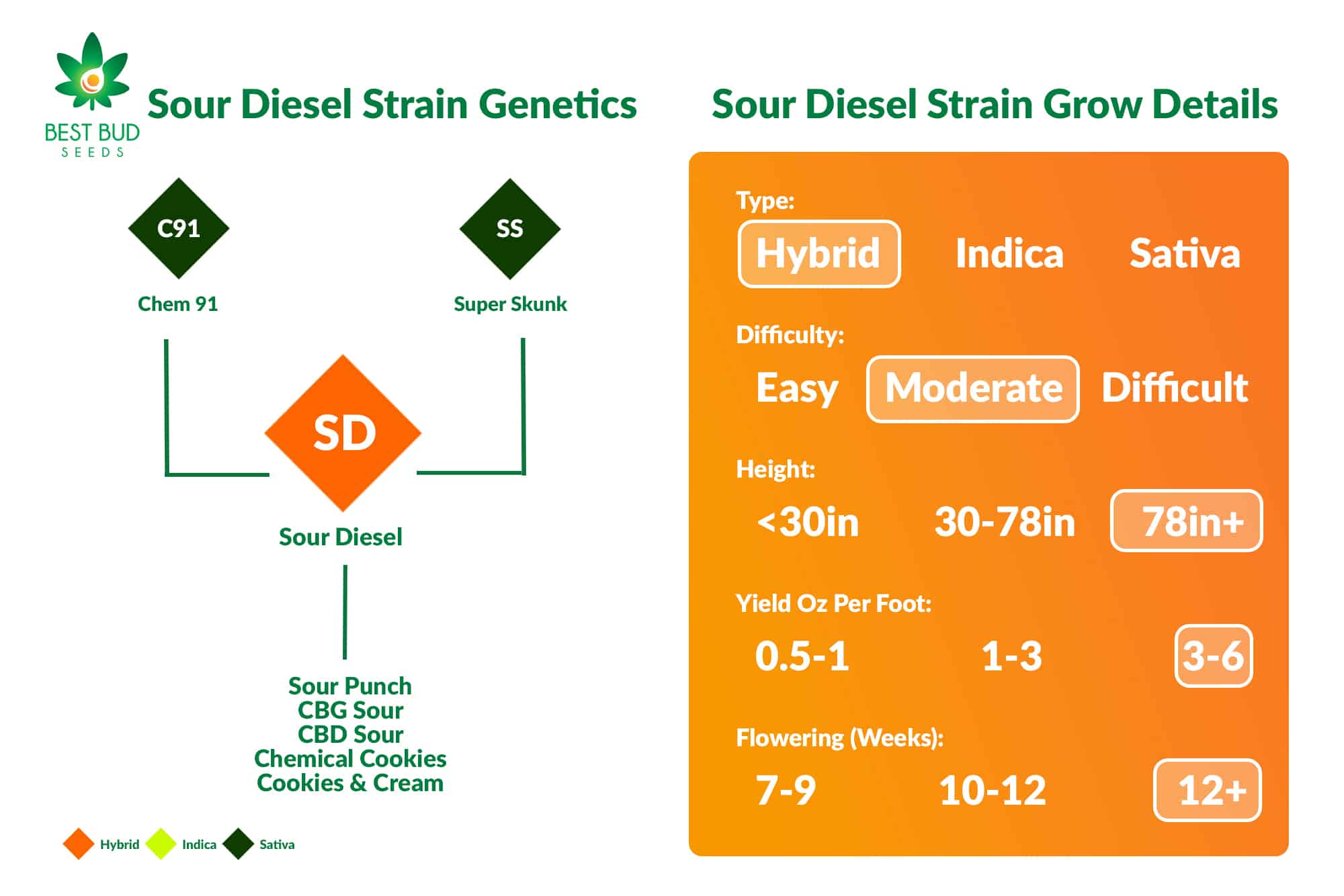 Sour Diesel Strain Genetics & Grow Details Best Bud Seeds Online Seed Bank