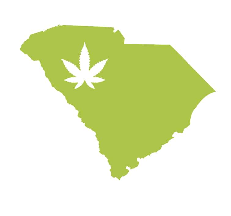 Best-Bud-Seeds-South-Carolina-Cannabis-Seed-Guide-Buy-Online
