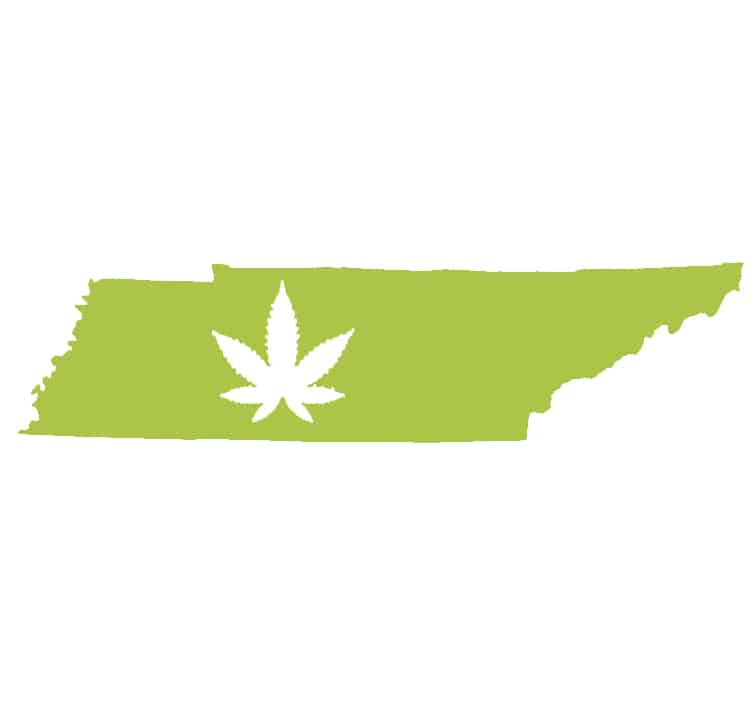 Best-Bud-Seeds-Tennessee-Cannabis-Seed-Guide-Buy-Online