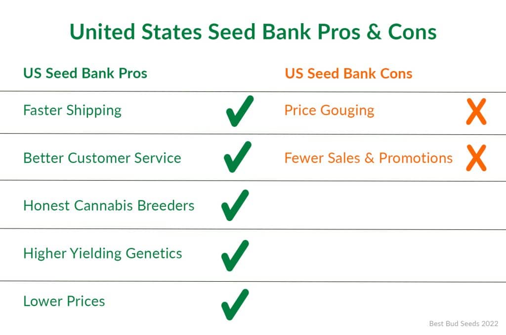 Where Can You Buy Cannabis Seeds? Best Bud Seeds US Cannabis Seed Bank Online