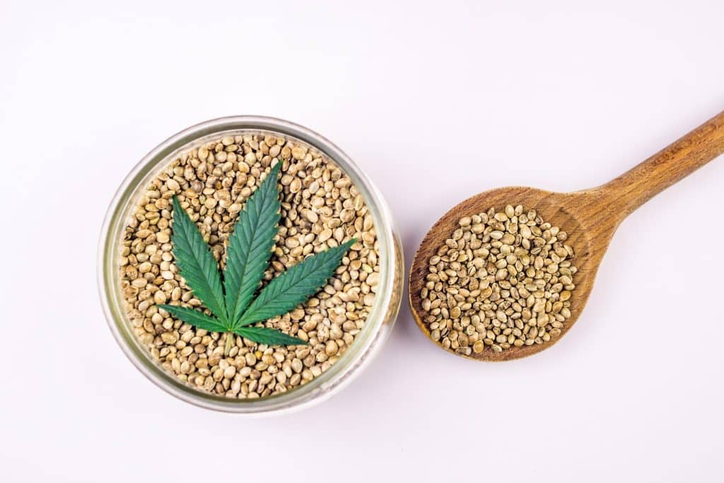 Germinate Cannabis Seeds 